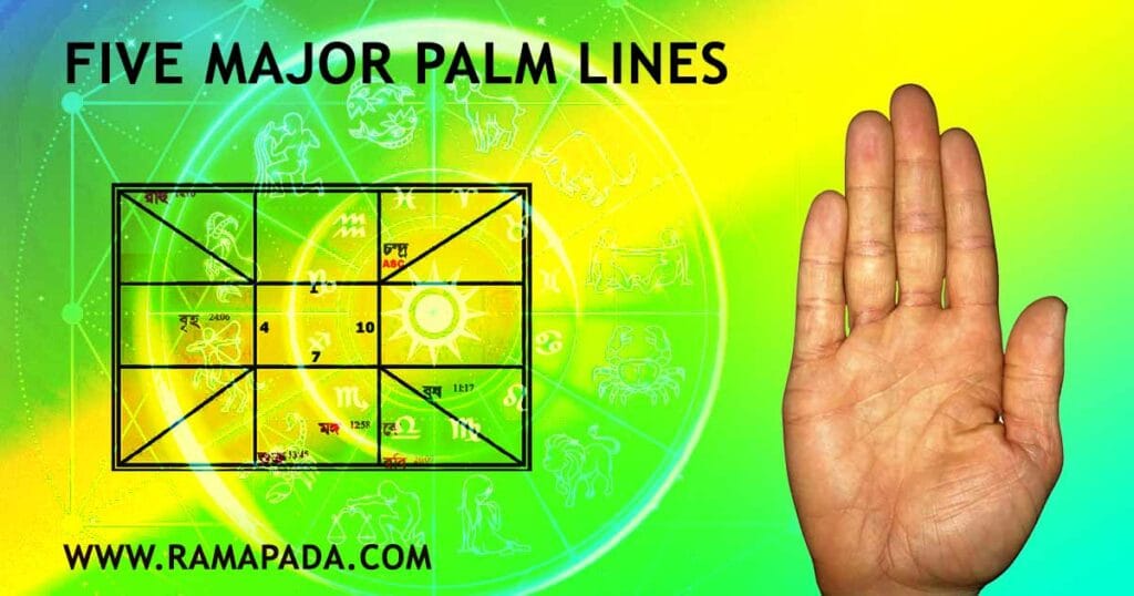 five major palm lines' meanings in palmistry: life line heart line head line fate line, and sun line explanation